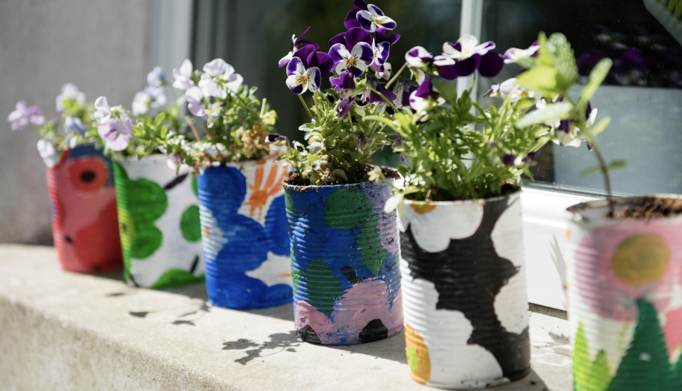 Hobbies and Projects