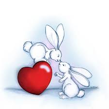 bunny.jpg