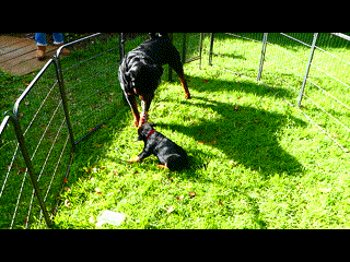 Zeus and Zeta became best friends when they met first day.